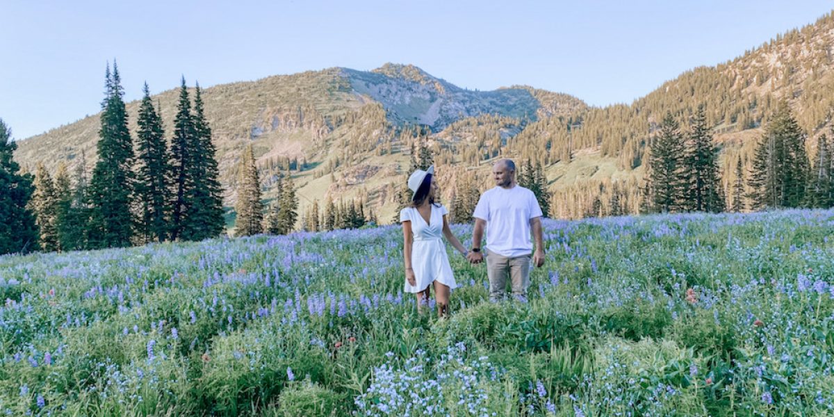 Utah Wildflower Field